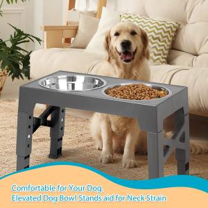 Foldable And Elevated Dog Feeder