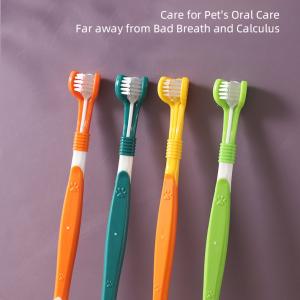 Pet Three-Head Toothbrush Bulk